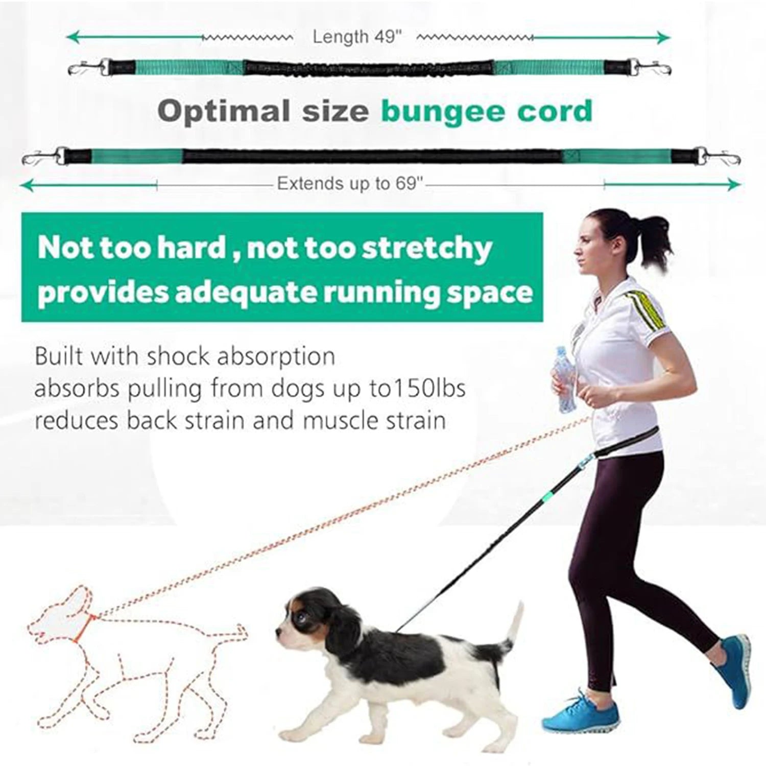 Walk Free: Hands-Free Dog Leash with Zipper Pouch